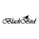 BLACKBIRD Drón kompatibilis akkumulátor